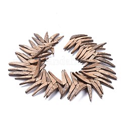 天然石ココナッツビーズ連売り  トップ掘削  三角形  コーヒー  37.5~40.5x7.5~8.5x4.5mm  穴：1.2mm  約80個/連  15.35インチ（39cm）&nbsp;COCB-K002-02