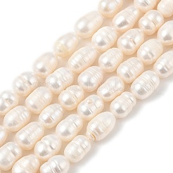 Natural Cultured Freshwater Pearl Beads Strands&nbsp;PEAR-I007-01D-05A-01