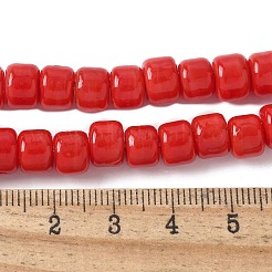 Handmade Lampwork Beads Strands&nbsp;LAMP-I030-02
