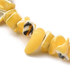 Natural Trochid Shell/Trochus Shell Beads Strands&nbsp;SHEL-B003-02H