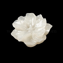 Opaque Resin & Glitter Powder Cabochons&nbsp;RE-CBADCDD-09