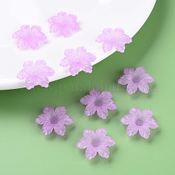 Transparent Acrylic Beads&nbsp;MACR-S373-117-D04
