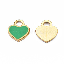 201 Stainless Steel Charms&nbsp;STAS-S080-045G-04-NR