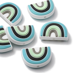 6Pcs Food Grade Eco-Friendly Silicone Focal Beads&nbsp;SIL-YW0001-04B