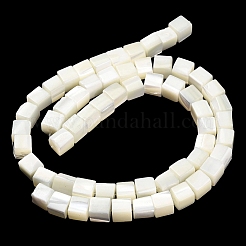 Natural Trochid Shell/Trochus Shell Beads Strands&nbsp;SHEL-C010-05A