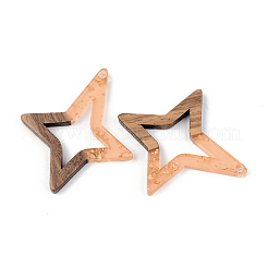 Transparent Resin & Walnut Wood Pendants&nbsp;LS-RESI-S389-020A-B04