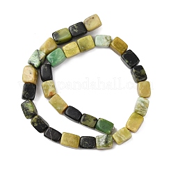 Natural Serpentine Beads Strands&nbsp;G-D098-D06