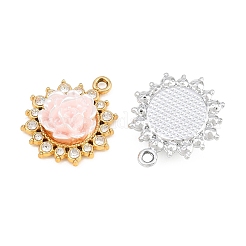 Alloy Resin Pendants&nbsp;RE-CBA4818-04