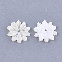 刻まれた淡水シェルビーズ  花  アイボリー  20x19x2.5mm  穴：1.5mm&nbsp;Y-SHEL-T012-52
