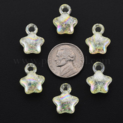 Transparent Crackle Acrylic Pendants&nbsp;LS-MACR-S373-63-L06
