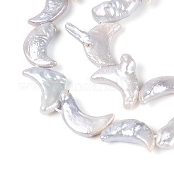 Natural Baroque Keshi Pearl Beads Strands&nbsp;PEAR-N020-P06-01B