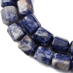 Natural Sodalite Beads Strands&nbsp;G-R015-A03