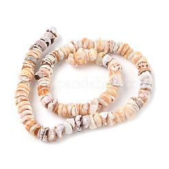 天然石シェルビーズ連売り  半円  9~11.5x9.5~10x3~7mm  穴：1.2mm  約98~114個/連  15.24~16.26''（38.7~41.3センチメートル）&nbsp;SSHEL-F304-01