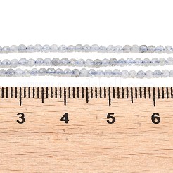 Natural Labradorite Beads Strands&nbsp;G-RM250104-B4