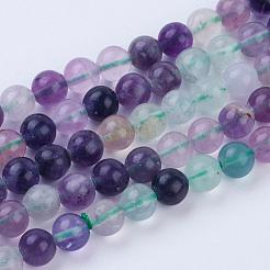 Natural Fluorite Beads Strands&nbsp;G-P318-05-6mm