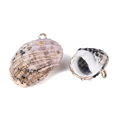 Electroplate Natural Spiral Shell Pendants&nbsp;SSHEL-Q100-41G