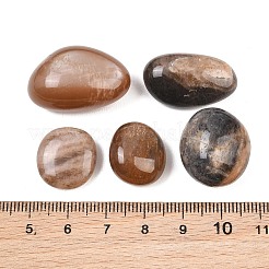 天然サンストーンビーズ  タンブルストーン  ナゲット  穴なし/ドリルなし  花瓶フィラーの宝石  15~23x18~28x6~21mm&nbsp;GG-CBAD0F6-A04-01B