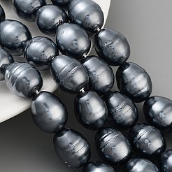 Electroplated Shell Pearl Beads Strands&nbsp;BSHE-H110-01-02