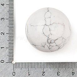 Natural Howlite Sphere Beads&nbsp;G-I367-05D