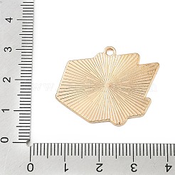Sports Alloy Enamel Pendants&nbsp;ENAM-I074-01G-16