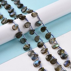 Natural Labradorite Beads Strands&nbsp;G-I246-09-A