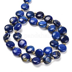 Natural Lapis Lazuli Beads Strands&nbsp;G-H005-B09-01