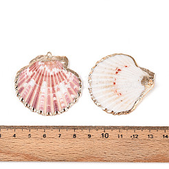 貝殻ペンダントを電気メッキ  鉄パーツ  ライトゴールド  カラフル  35~53x34~52x7~11mm  穴：2mm&nbsp;SSHEL-S262-32
