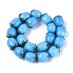 Handmade Lampwork Beads Strands&nbsp;LAMP-N036-04