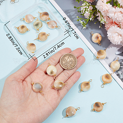 20Pcs Natural Trumpet Shell Bead Connector Charms&nbsp;FIND-BBC0003-12
