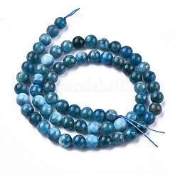 Natural Apatite Beads Strands&nbsp;LS-G-O186-E02-6mm
