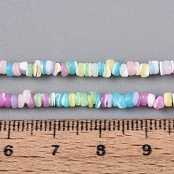 天然トロチッドシェル/トロカスシェルビーズ連売り  染め  フラットラウンド  ミックスカラー  2.5~3.5x0.2~3mm  穴：0.5~0.6mm  約270~290個/連  14.96~15.35インチ（38~39cm）&nbsp;SSHEL-N040-21A