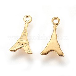 304 Stainless Steel Charms&nbsp;STAS-E447-15G