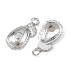 Fruit 304 Stainless Steel Charms&nbsp;STAS-H242-03P-03