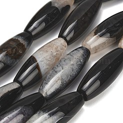 Natural Agate Beads Strands&nbsp;G-L654-G20-01B