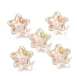 Transparent Acrylic Bead Caps&nbsp;AC-CBA1E6C-06B