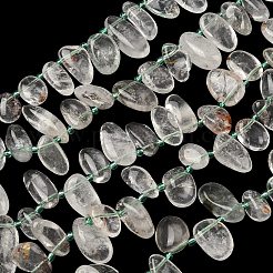Natural Green Lodolite Quartz Beads Strands&nbsp;G-P604-A20-01