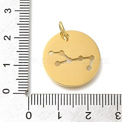 イオンプレーティング（IP）304ステンレスペンダント  丸カン付き  レーザー切断  フラットラウンド、星座チャーム付き  18KGP本金メッキ  乙女座  20x1.5mm  穴：5mm&nbsp;STAS-M074-02B-G