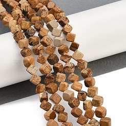 Natural Picture Jasper Beads Strands&nbsp;G-A257-A21-01