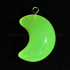 Transparent Luminous Glow in the Dark Resin Pendnats&nbsp;RESI-WH0038-27B-03