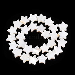 天然淡水シェルビーズ連売り  スター  淡黄色  12~13x12~13x3mm  穴：0.8mm  約33個/連  12.60''（32センチメートル）&nbsp;SHEL-WH0009-05