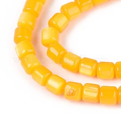 染め天然淡水シェルビーズ連売り  コラム  ゴールド  2~4x3~4mm  穴：0.6mm  約113~114個/連  14.76~14.96''（37.5~38センチメートル）&nbsp;SHEL-T020-56B