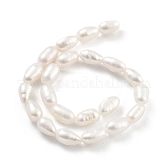 Natural Cultured Freshwater Pearl Beads Strands&nbsp;PEAR-P062-06F