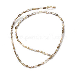 Natural Freshwater Shell Beads Strands&nbsp;SHEL-K006-78B