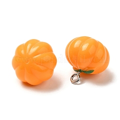 Opaque Resin Pendants&nbsp;CRES-Z003-05A