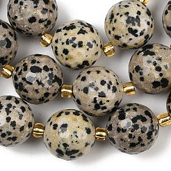 Natural Dalmatian Jasper Beads Strands&nbsp;G-C249-A02-16mm