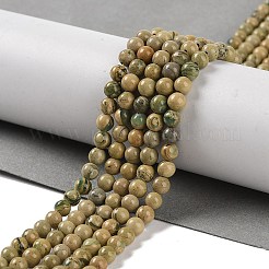 天然のバーダイト石ビーズ連売り  ラウンド  4mm  穴：0.9mm  約90~103個/連  15.55''（37~38センチメートル）&nbsp;G-P530-B07-01