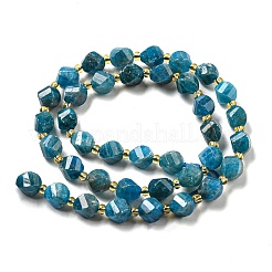 Natural Apatite Beads Strands&nbsp;G-M443-B06-02