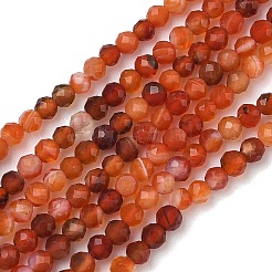 Natural Red Agate Beads Strands&nbsp;G-B168-A04-2mm