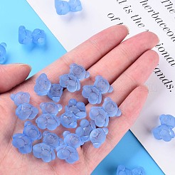 Transparent Acrylic Beads&nbsp;MACR-S373-80-D14