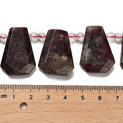 Natural Plum Blossom Tourmaline Beads Strands&nbsp;G-H078-A01-01